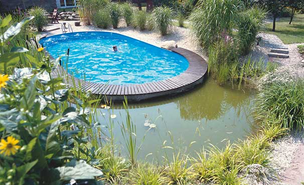 Naturpool